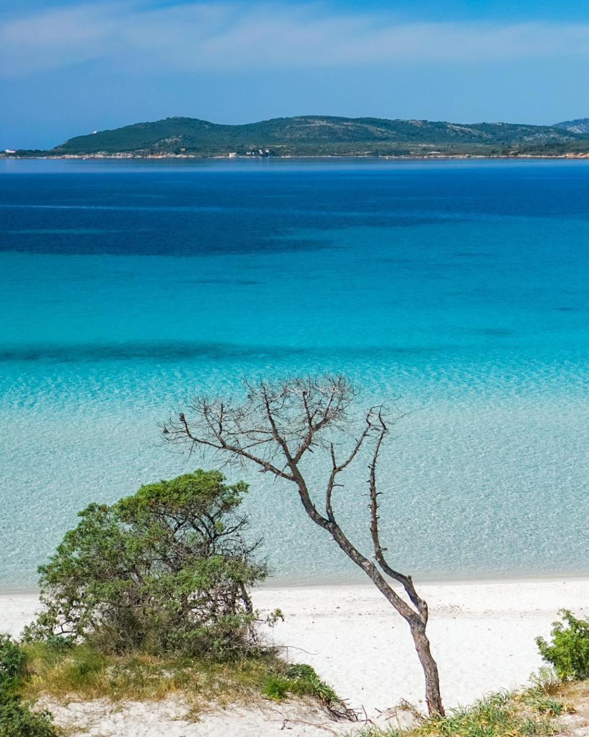 Sweet Hospitality - Apartments L Simon26 Alghero Luaran gambar